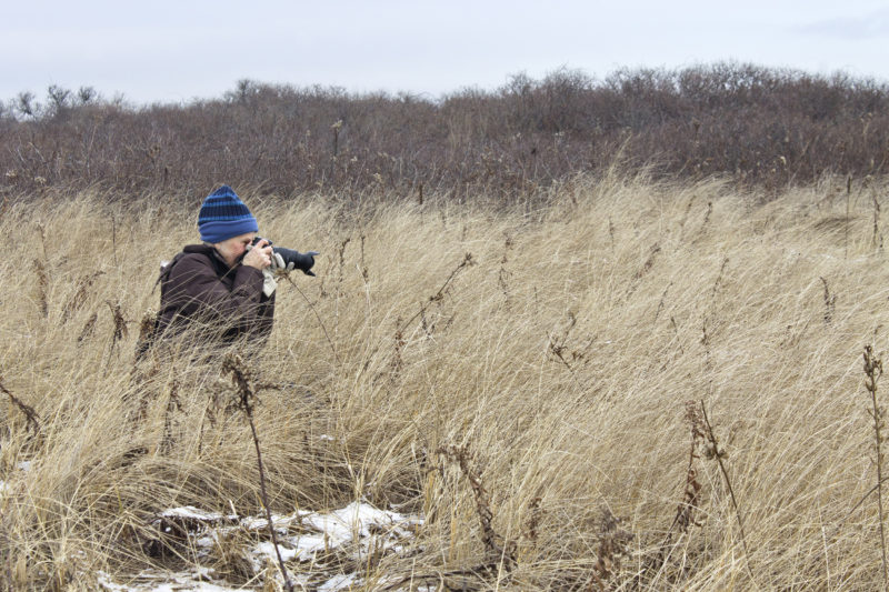 A woman in the grass taking a photo