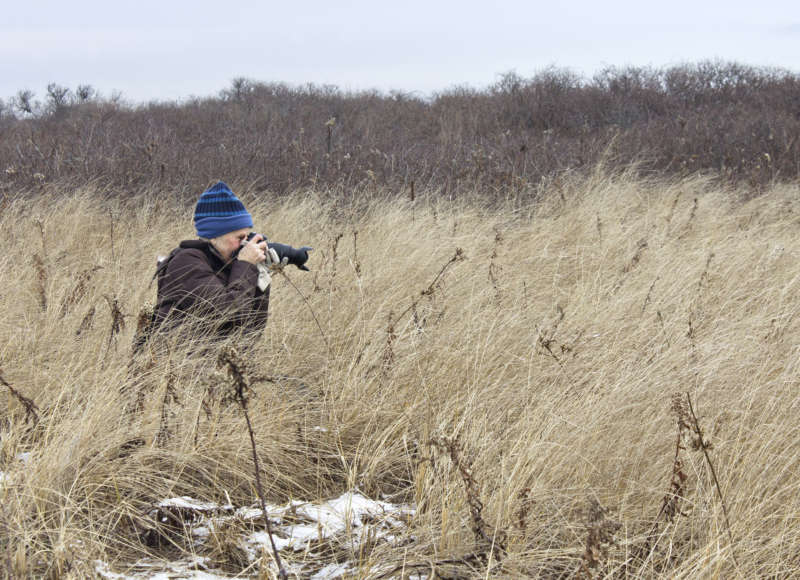 A woman in the grass taking a photo