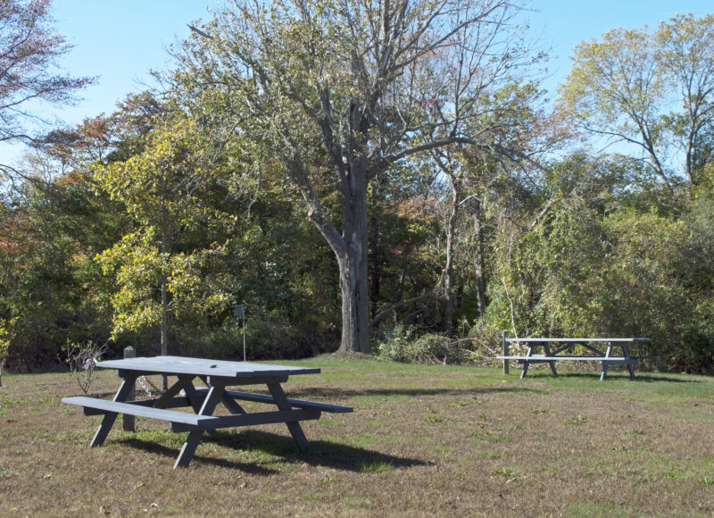 Two picnic tables in the field at Tamarack Park in Lakeville