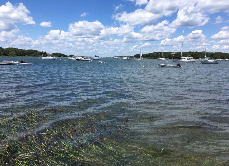 Boats moored in West Falmouth harbor