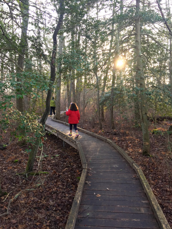 A child and adult on the boardwalk at John C. Whitehead Preserve in Little Compton. (Image: The Nature Conservancy)