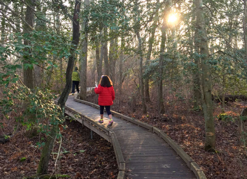 A child and adult on the boardwalk at John C. Whitehead Preserve in Little Compton. (Image: The Nature Conservancy)