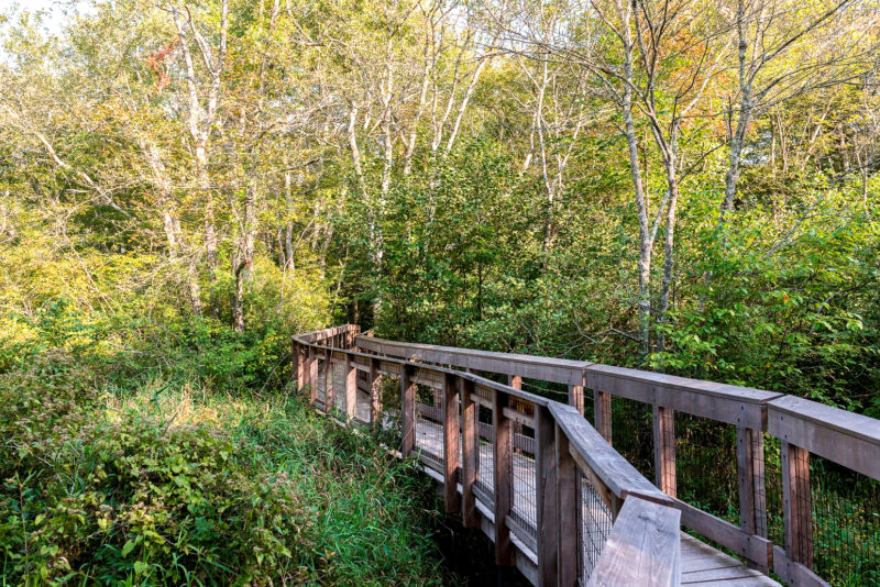 The boardwalk at John C. Whitehead Preserve in Little Compton - Image by Nat Rea