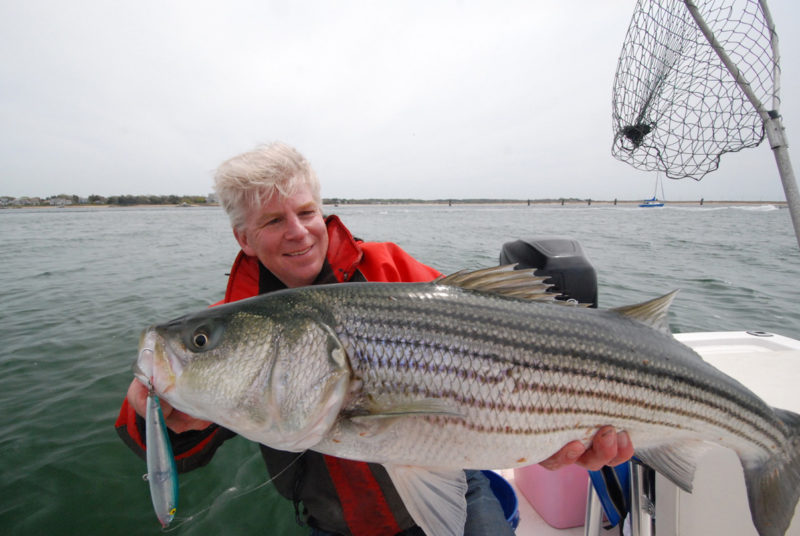 Tom Richardson holds up a very large striped bass