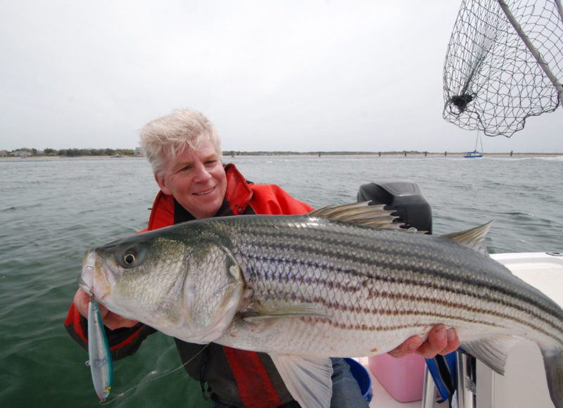 Tom Richardson holds up a very large striped bass