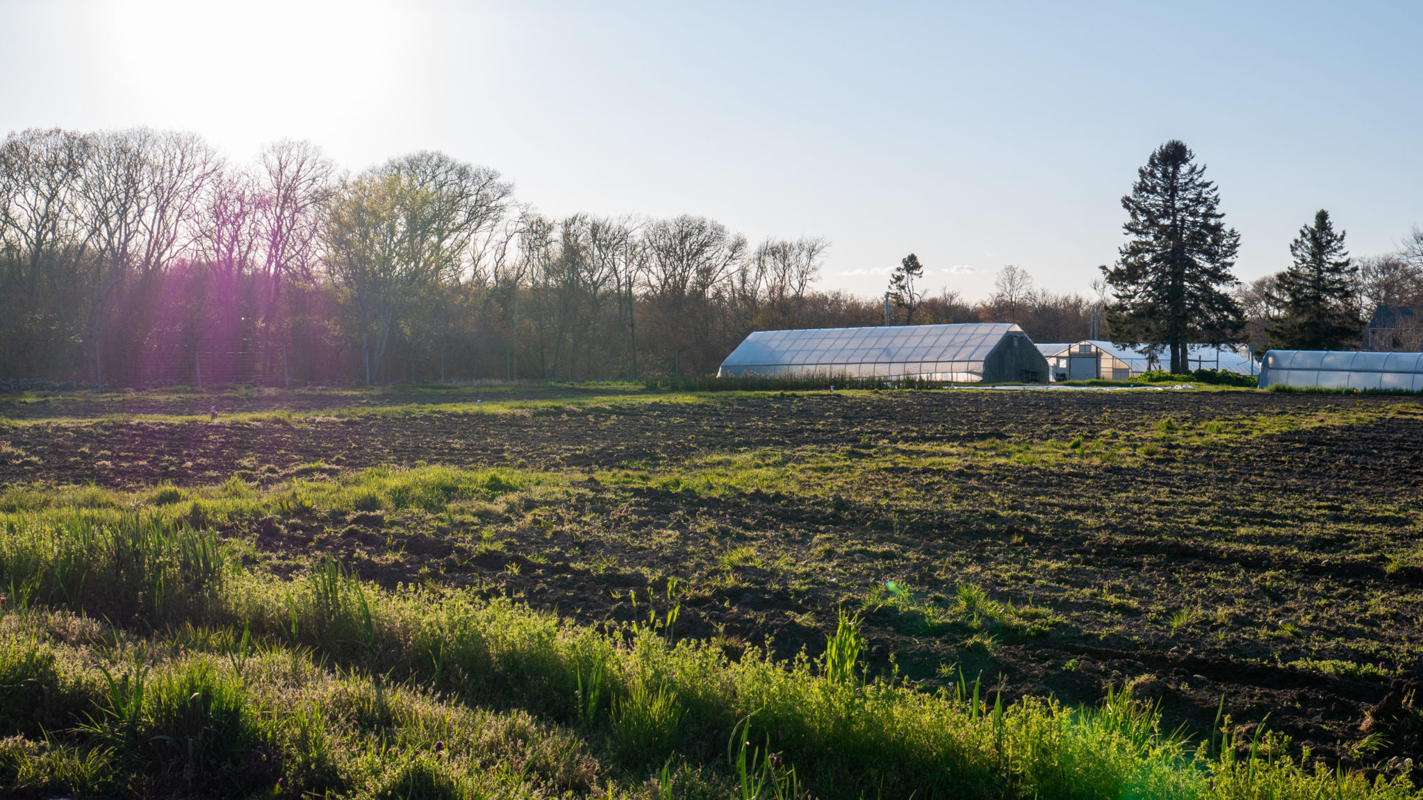 Renowned organic farm and surrounding woodlands in Dartmouth gain