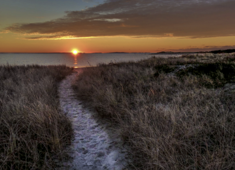 Gooseberry Sunrise