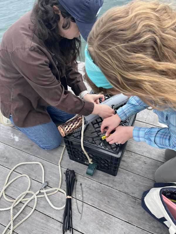 The Coalition's Lilia Bartolotta and Kristin Huizenga prep the loggers.