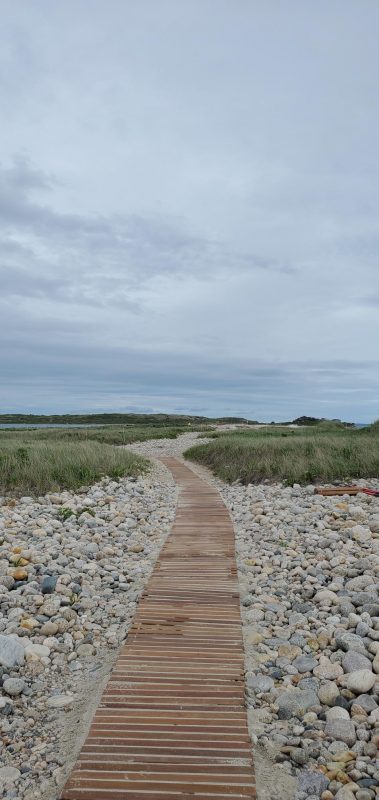 A shot of the boardwalk to Barges and and Channel Beaches at the Coalition’s Canapitsit Reserve that was recently installed.