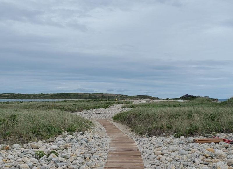 A shot of the boardwalk to Barges and and Channel Beaches at the Coalition’s Canapitsit Reserve that was recently installed.