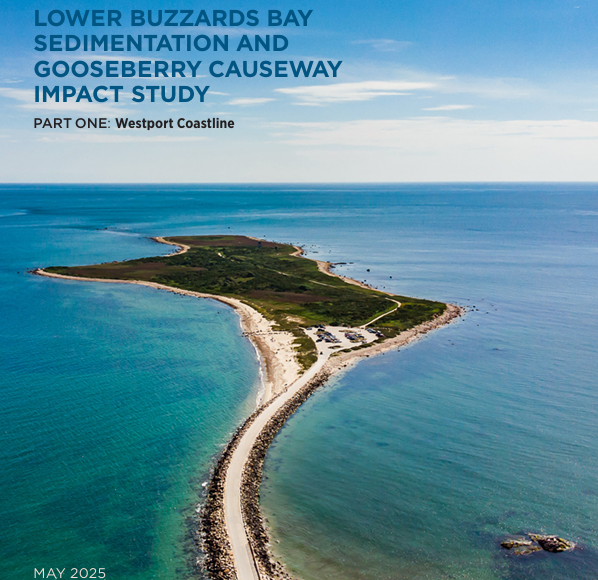 Gooseberry Island Report Part One cover