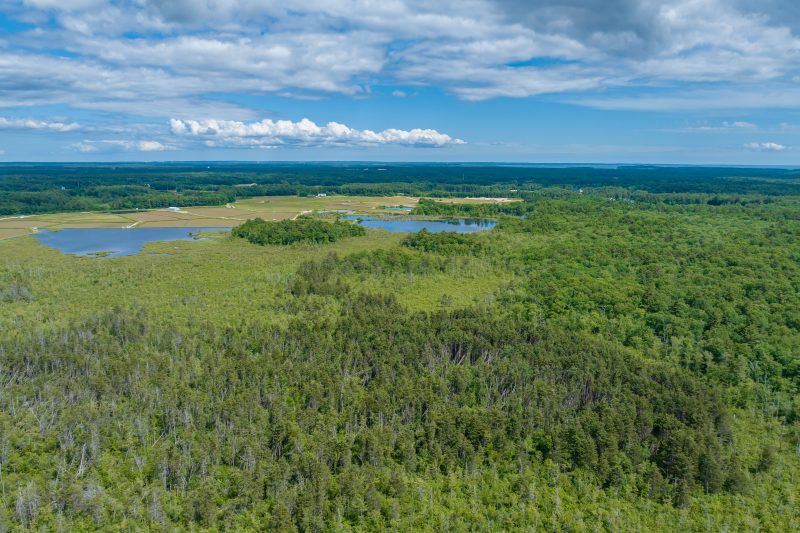 Overhead of Sippican River in Rochester looking east