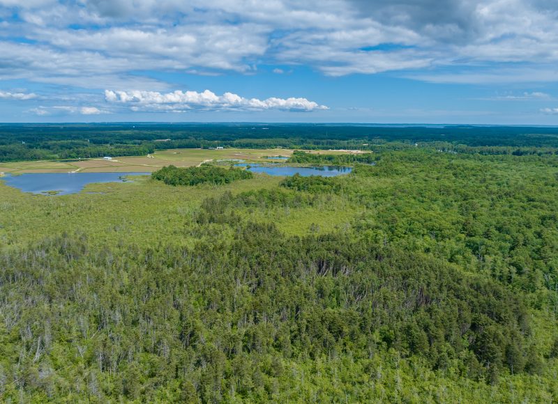 Overhead of Sippican River in Rochester looking east