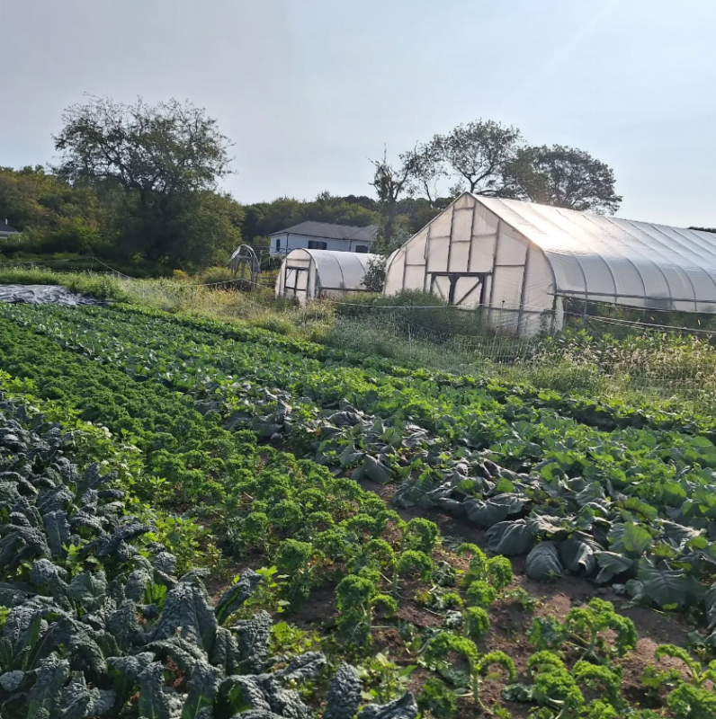 Flying Carrot Farm is currently leasing the land and sells its wares in the community.