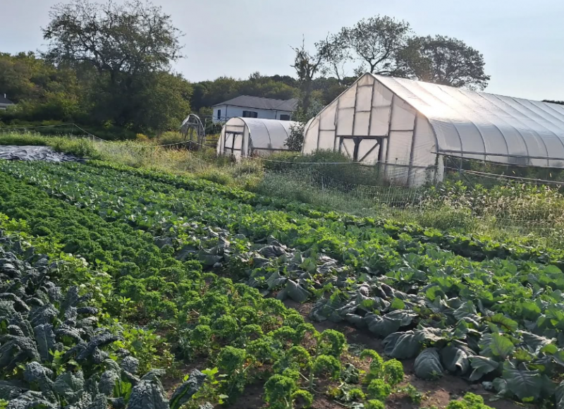 Flying Carrot Farm is currently leasing the land and sells its wares in the community.