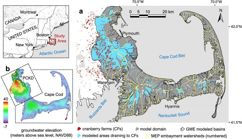 Cranberry Farm Restoration Study Published