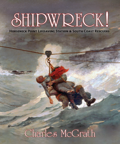Cover of Shipwreck!