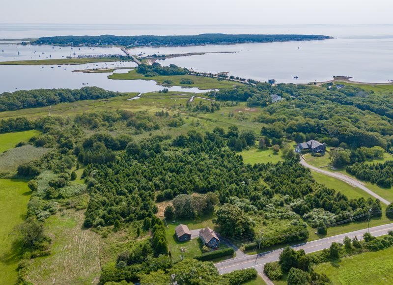 A bird's-eye view of Tavares Farm