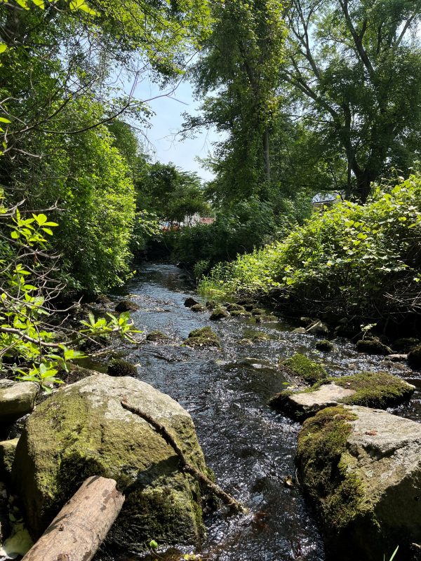 Bread and Cheese Brook