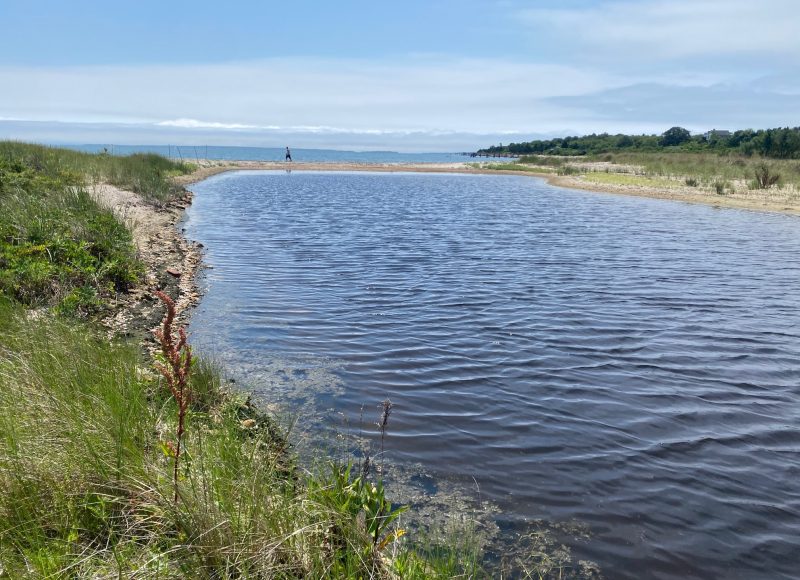 Salters pond barrier beach