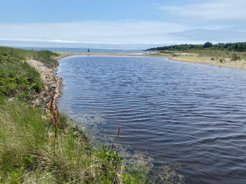 Salters pond barrier beach
