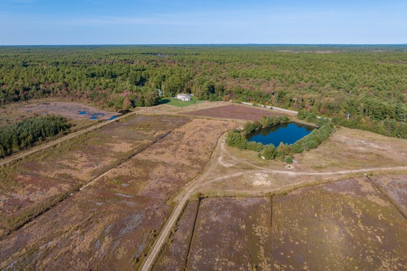 Stuart Bogs Bird's-Eye View
