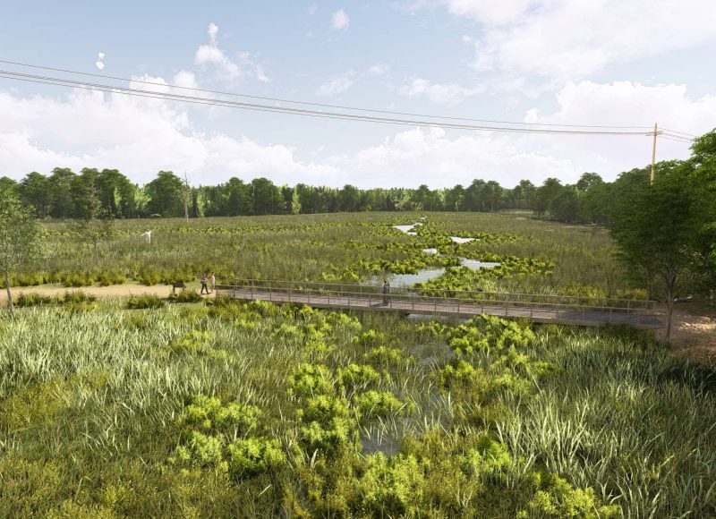 Rendering of an option for the finished restoration